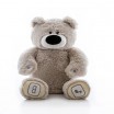 Luv'n Learn Интерактивный серый медведь Арт. 20010L - Интернет-магазин детских товаров Зайка моя Екатеринбург