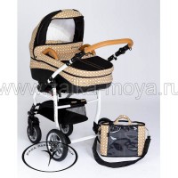 ������� 2 � 1 DPG Carino Limited (������ �������) - ��������-������� ������� ������� ����� ��� ������������