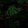 Комплект постельного белья Marvel Мстители Neon Series 1,5 сп, арт. 4948400 - Интернет-магазин детских товаров Зайка моя Екатеринбург