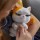 Пушистый друг Рыжий котенок FurReal Friends, арт. B9063 - Интернет-магазин детских товаров Зайка моя Екатеринбург