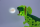 Фигурка Dinosaur Projector Динозавр с проекцией и фломастерами 25 см арт. 6617B - Интернет-магазин детских товаров Зайка моя Екатеринбург