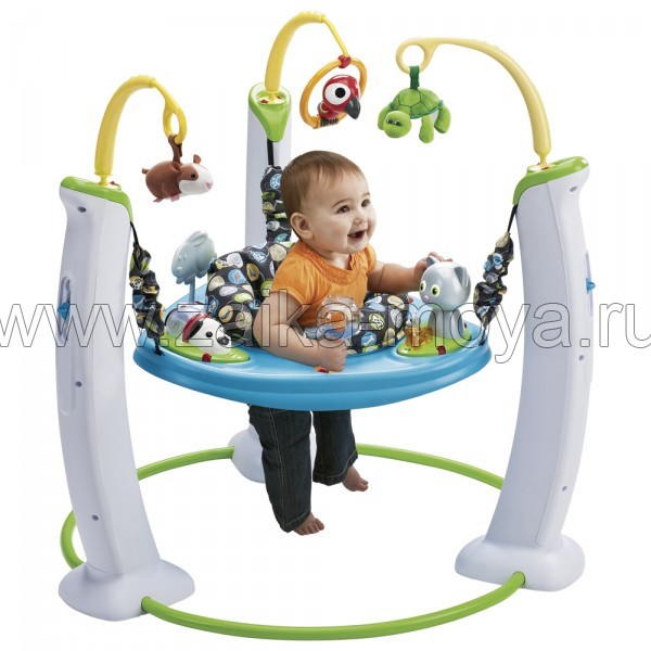 Evenflo exersaucer jumper online