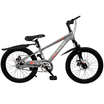 Велосипед двухколесный Willpower 20" 1-ск (FG240528004L) - Интернет-магазин детских товаров Зайка моя Екатеринбург