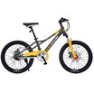 Велосипед двухколесный Willpower 20" 21-ск (FG240528073L) - Интернет-магазин детских товаров Зайка моя Екатеринбург