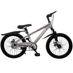 Велосипед двухколесный Willpower 20" 1-ск (FG240528004L) - Интернет-магазин детских товаров Зайка моя Екатеринбург