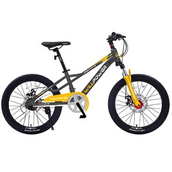Велосипед двухколесный Willpower 20" 21-ск (FG240528073L) - Интернет-магазин детских товаров Зайка моя Екатеринбург