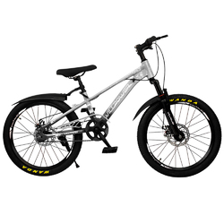 Велосипед двухколесный Willpower 22" 1-ск (FG240528231L) - Интернет-магазин детских товаров Зайка моя Екатеринбург
