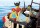 Конструктор Пиратский корабль  512 деталей. Арт. 38-0128 - Интернет-магазин детских товаров Зайка моя Екатеринбург