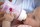 Бутылочка для кормления Avent Classic розовая Божья Коровка 260мл арт. SCF573/11 - Интернет-магазин детских товаров Зайка моя Екатеринбург