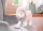 Игрушка Baby Annabell Овечка функциональная, Арт. 793-770 - Интернет-магазин детских товаров Зайка моя Екатеринбург