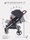 Прогулочная коляска для двойни Mowbaby Tandem (Мув Беби Тандем) - Интернет-магазин детских товаров Зайка моя Екатеринбург