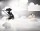 Коляска Cybex Priam Lux Jeremy Scott Wings black 2 в 1 - Интернет-магазин детских товаров Зайка моя Екатеринбург